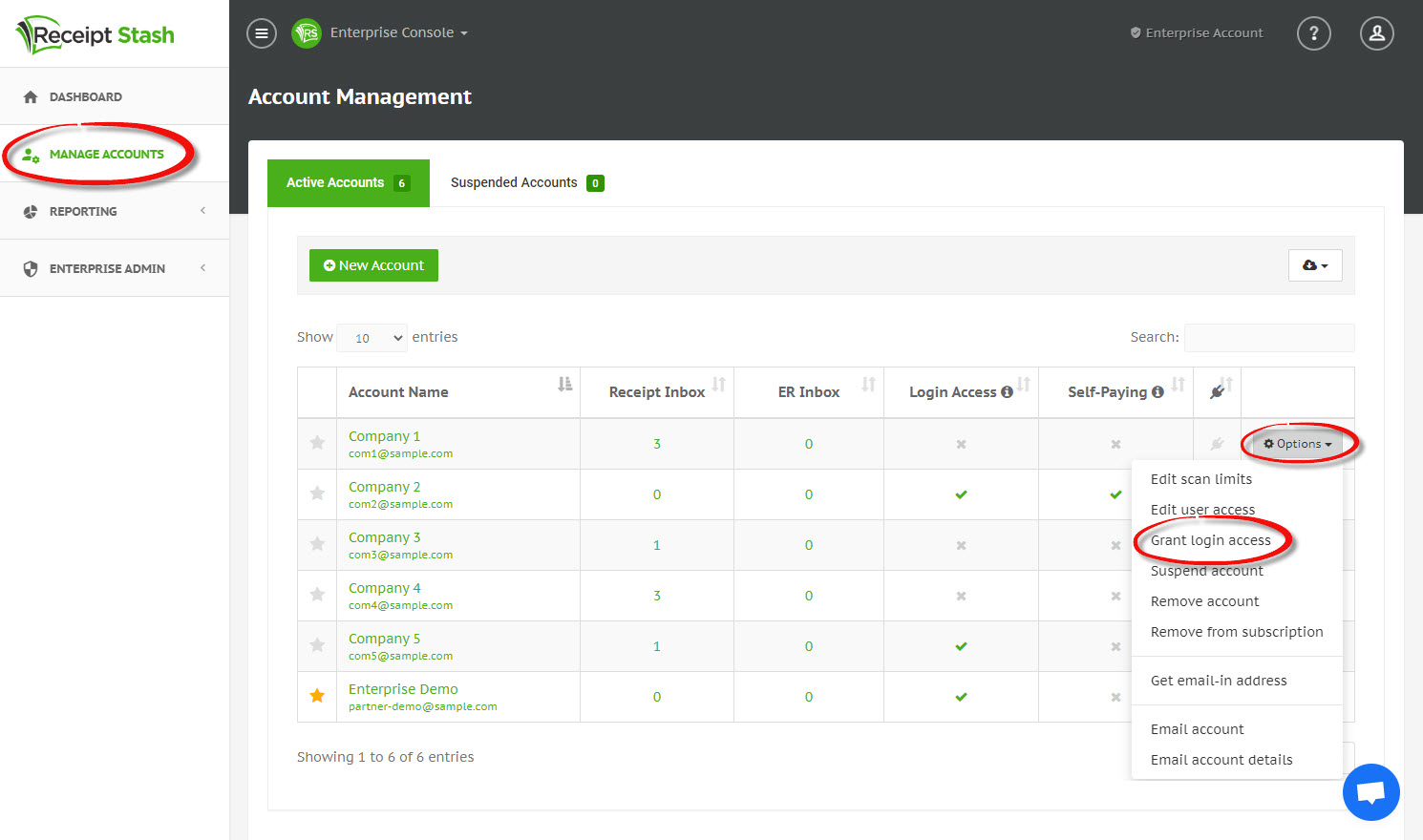 Enterprise console account options grant login access